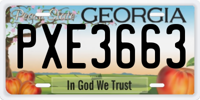 GA license plate PXE3663
