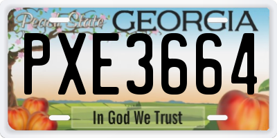 GA license plate PXE3664