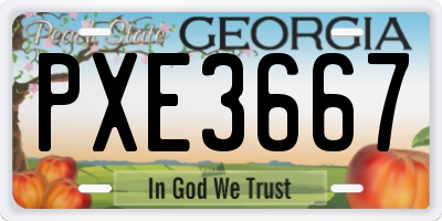 GA license plate PXE3667