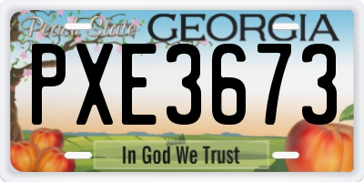 GA license plate PXE3673