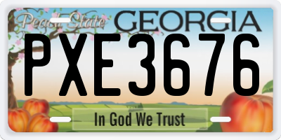GA license plate PXE3676