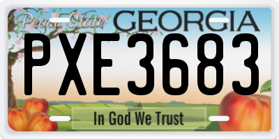 GA license plate PXE3683