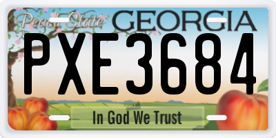 GA license plate PXE3684
