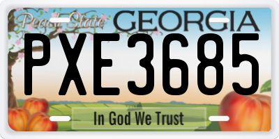 GA license plate PXE3685