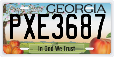 GA license plate PXE3687