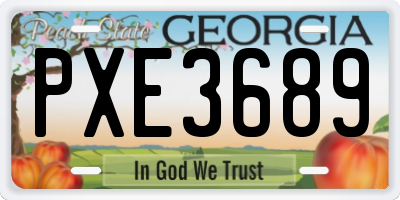 GA license plate PXE3689
