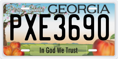 GA license plate PXE3690
