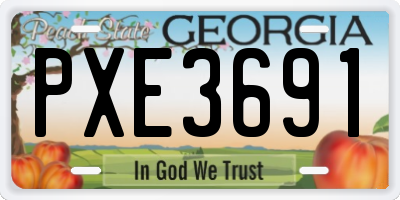GA license plate PXE3691