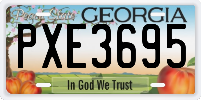 GA license plate PXE3695
