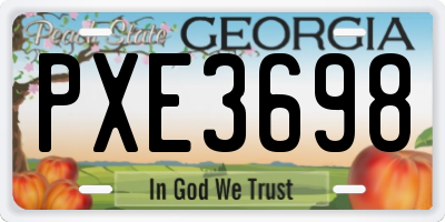 GA license plate PXE3698