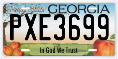 GA license plate PXE3699