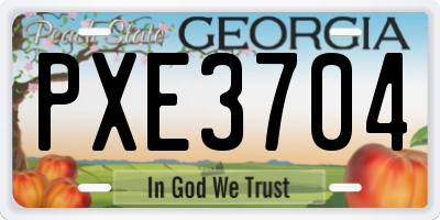 GA license plate PXE3704