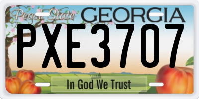 GA license plate PXE3707