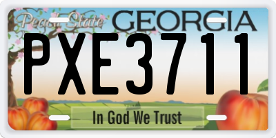 GA license plate PXE3711