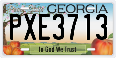 GA license plate PXE3713