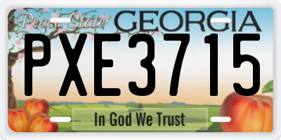 GA license plate PXE3715