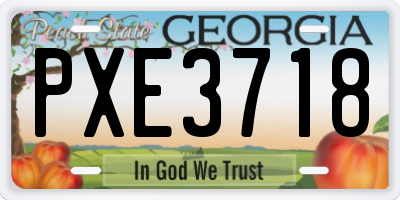 GA license plate PXE3718