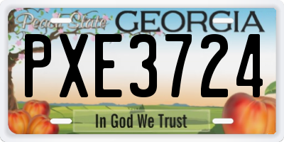 GA license plate PXE3724