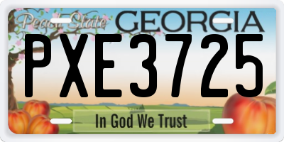 GA license plate PXE3725