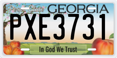 GA license plate PXE3731