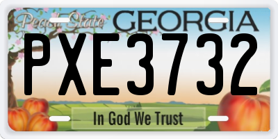 GA license plate PXE3732
