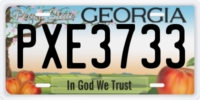GA license plate PXE3733