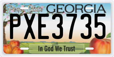 GA license plate PXE3735
