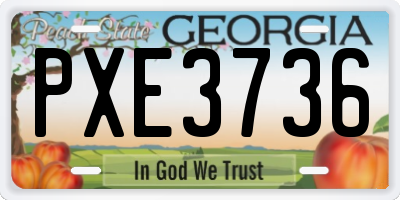 GA license plate PXE3736