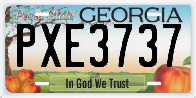 GA license plate PXE3737