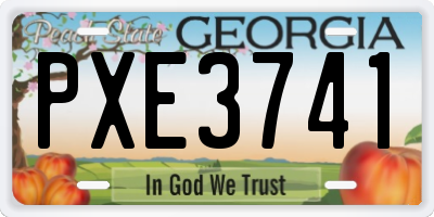 GA license plate PXE3741