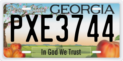 GA license plate PXE3744
