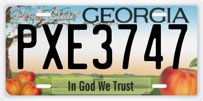 GA license plate PXE3747