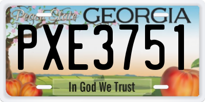 GA license plate PXE3751