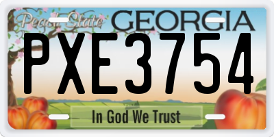 GA license plate PXE3754