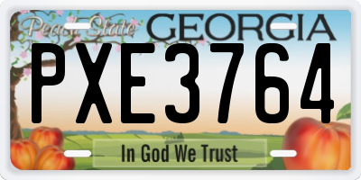 GA license plate PXE3764