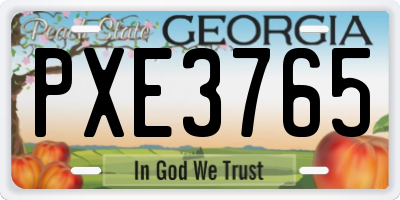 GA license plate PXE3765