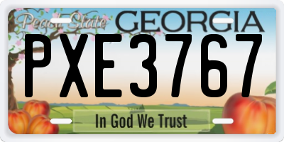 GA license plate PXE3767