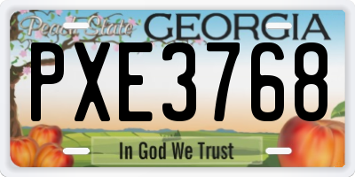 GA license plate PXE3768