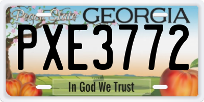 GA license plate PXE3772