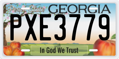 GA license plate PXE3779