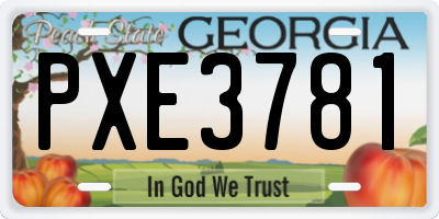 GA license plate PXE3781