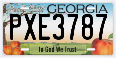 GA license plate PXE3787
