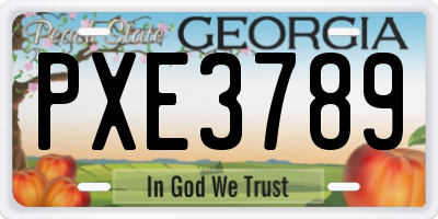 GA license plate PXE3789