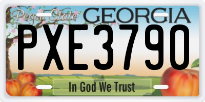 GA license plate PXE3790