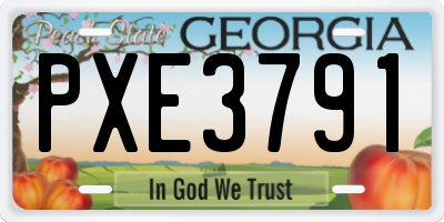 GA license plate PXE3791