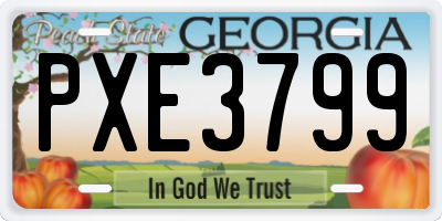 GA license plate PXE3799
