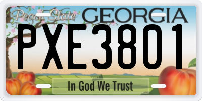 GA license plate PXE3801