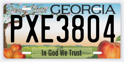 GA license plate PXE3804