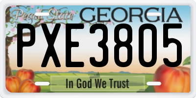 GA license plate PXE3805