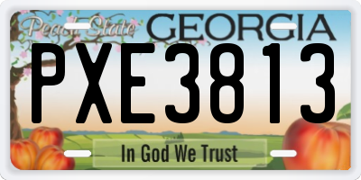 GA license plate PXE3813